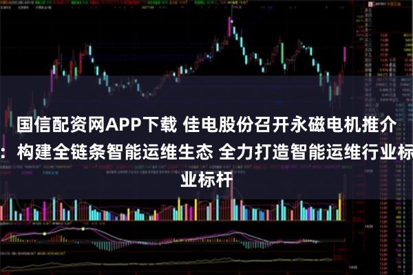 国信配资网APP下载 佳电股份召开永磁电机推介会：构建全链条智能运维生态 全力打造智能运维行业标杆