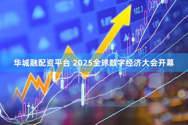 华城融配资平台 2025全球数字经济大会开幕