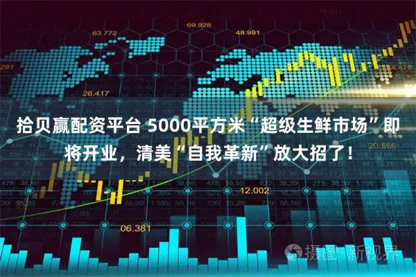 拾贝赢配资平台 5000平方米“超级生鲜市场”即将开业，清美“自我革新”放大招了！